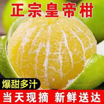 农家自产 新鲜广西皇帝柑现摘现发5斤装