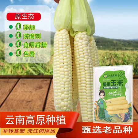 高原九子玉米 蔬菜+九子玉米