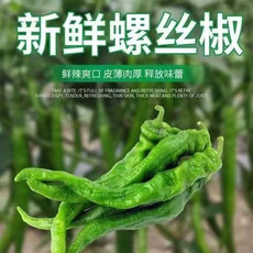 沃丰沃 【助农】新鲜现摘螺丝青椒辣椒皱皮青椒农家自种蔬菜薄皮虎皮3斤