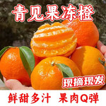 沃丰沃 【助农】四川正宗青见果冻橙新鲜4.5斤青见柑橘手剥橙应季水果