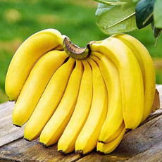 沃丰沃 【助农】广西现摘发香蕉1斤新鲜当季水果薄皮自然熟巴西蕉整箱