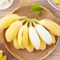 沃丰沃 自然成熟banana新鲜【小米蕉5斤】水果孕妇放心食用小米蕉