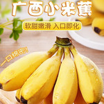 沃丰沃 自然成熟banana新鲜【小米蕉5斤】水果孕妇放心食用小米蕉