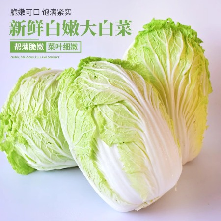 沃丰沃 现摘新鲜大白菜【5-6斤】当季蔬菜农家自种黄心娃娃菜叶包心菜