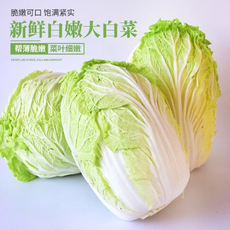 沃丰沃 现摘新鲜大白菜【5-6斤】当季蔬菜农家自种黄心娃娃菜叶包心菜