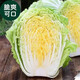 沃丰沃 大白菜冬储【2一3斤】大白菜农家自种新鲜现砍现发酸辣白菜原料