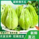 沃丰沃 佛手瓜5斤新鲜蔬菜批发洋瓜丰收应季丝瓜窝瓜现摘农家现发