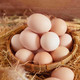 外婆喵 正宗【土鸡蛋8枚】农家散养自养新鲜草鸡蛋柴笨鸡蛋杂粮蛋月子蛋