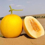 比比赞 【助农】红肉黄河蜜瓜头茬新鲜5斤应当季孕妇水果沙漠红金宝甜