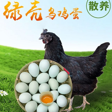 外婆喵 新鲜鸡蛋散养正宗乌鸡蛋土鸡蛋绿壳乌鸡蛋谷物当日月子蛋宝宝图片
