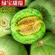 外婆喵 【助农】陕西绿宝甜瓜1个新鲜当季水果应季阎良绿宝石蜜瓜小香瓜