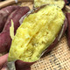 外婆喵 【助农】5斤新鲜南宁板栗红薯农家自种广西番薯皮薄肉厚