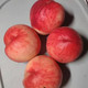 外婆喵 【助农】新鲜毛桃水蜜桃3斤桃子当季现摘桃子油脆甜桃多汁