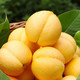 外婆喵 【助农】5斤正宗山西黄金油桃新鲜时令水果当季黄油桃子脆甜多汁