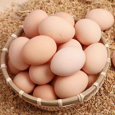 外婆喵 【土鸡蛋10枚】农村笨鸡蛋农家正宗散养新鲜营养柴鸡蛋
