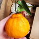 外婆喵 四川【丑橘不知火2斤】新鲜水果桔橘子丑柑脆甜可口多汁美味