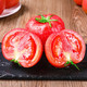 外婆喵 【沙瓤西红柿3斤】正宗陕西普罗旺斯西红柿时令生鲜番茄自然熟