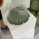 外婆喵 现摘新鲜西瓜当季水果24k5-6斤麒麟西瓜早熟脆皮薄皮美都