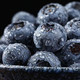 外婆喵 新鲜中果【蓝莓*4盒】当季现摘高山甜怡颗蓝莓生鲜时令水果
