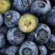 外婆喵 新鲜中果【蓝莓*4盒】当季现摘高山甜怡颗蓝莓生鲜时令水果