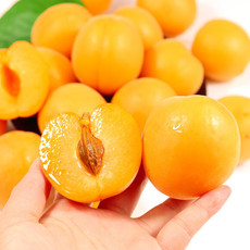 外婆喵 一级大黄杏3斤现摘新疆清甜多汁新鲜水果甜杏子当季水果酸杏山杏