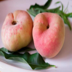 果蔬园丁 蟠桃当季水果现摘整箱2.5、4、5公斤