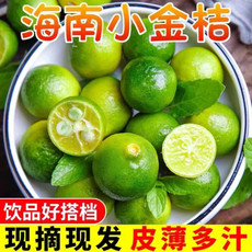 粤之陈 新鲜海南小金桔+广东香水柠檬