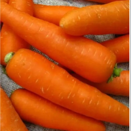 胡萝卜 450-550克