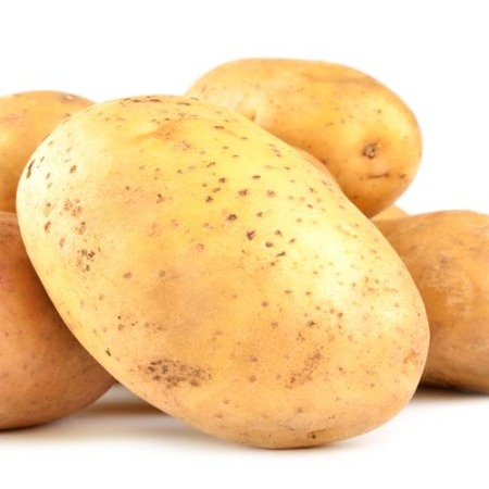 黄心土豆 450-550克