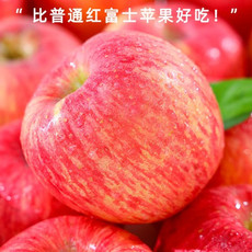 农家自产 产地直发 陕西洛川 高品质 红富士大苹果5斤装