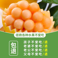 农家自产 民勤蜜瓜4.5-5斤（2-3个）