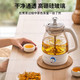 现代/HYUNDAI 韩国煮茶器QC-ZC1017迷你养生壶