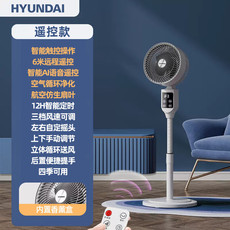 现代/HYUNDAI HYUNDAI韩国现代遥控款空气循环电风扇RFS-1948R