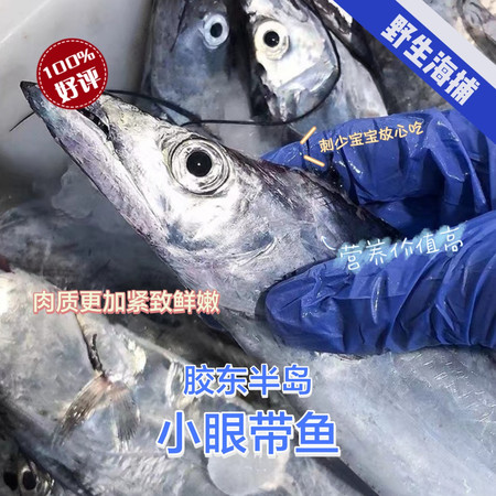 农家自产 深海小眼野生带鱼中段 500g/袋  【顺丰包邮】