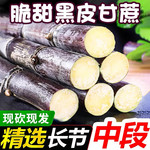 农家自产  优惠直降！【现砍现发】广西黑皮甘蔗