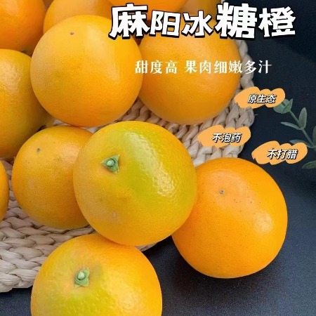 农家自产 【冬日限时特惠】正宗 麻阳冰糖橙