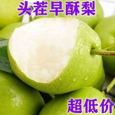 果皙 【山西运城】早酥梨应季新鲜水果脆甜薄皮多汁梨子 包邮