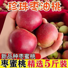 果皙 【现摘】珍珠枣油桃现摘蜜枣油桃枣味小桃子油桃