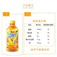 康师傅 冰红茶330ml*6冰糖雪梨330ml*6