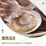 简鲜 新鲜冷冻帆立贝柱扇贝柱300g*3袋