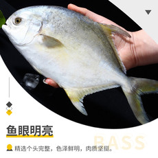简鲜 深海新鲜冷冻金鲳鱼350-400g*3条扁鱼平鱼