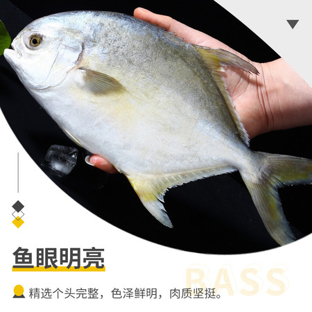 简鲜 深海新鲜冷冻金鲳鱼350-400g*3条扁鱼平鱼图片