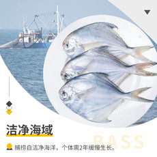 简鲜 银鲳鱼2000g（21-28条）