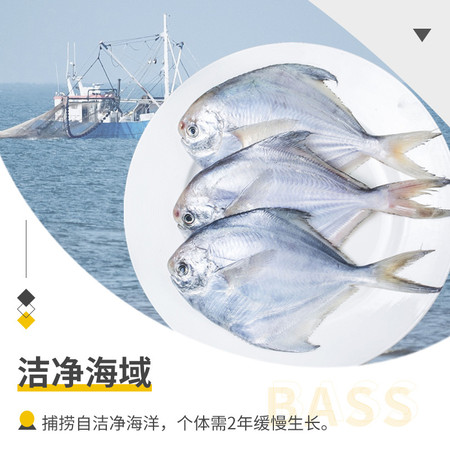 简鲜 冷冻新鲜小平鱼烧烤生鲜鱼类海银鲳鱼2000g（21-28条）图片