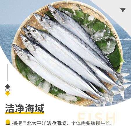简鲜 新鲜冷冻秋刀鱼10条海鲜水产烧烤图片