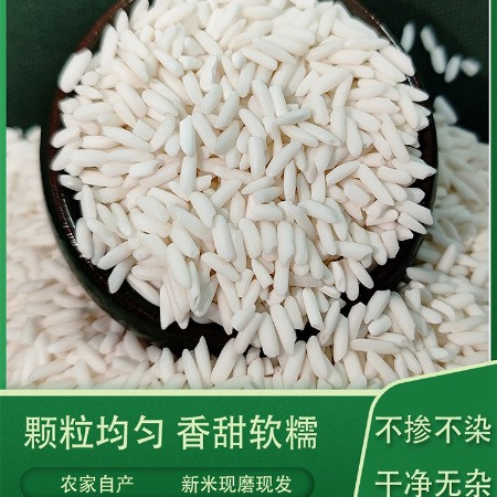 中御华粮 【糯米】1000g新米饭团包粽子酒酿专用农家自种原生态香糯米图片