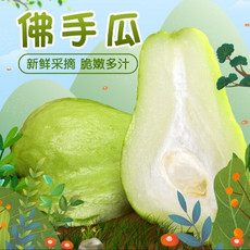 黄礤高山腊味 帮扶农产品蔬菜佛手瓜吊瓜1.5KG /箱