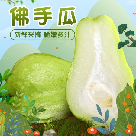 新丰佛手瓜 地标新丰县农产品帮扶农蔬菜佛手瓜吊瓜1.5KG /箱图片