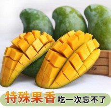 广西桂七芒大小果5斤/9斤装 农家自产 新鲜当季水果桂七芒芒果