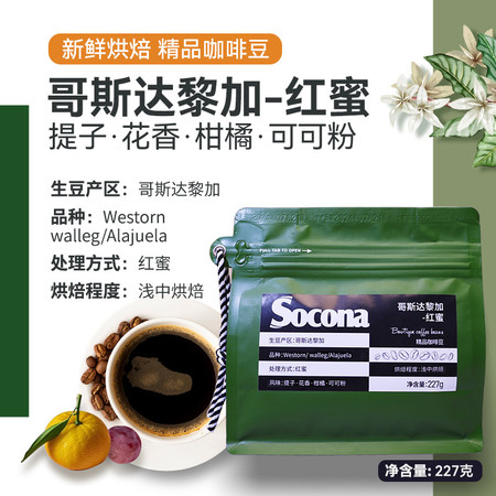 索可纳 Socona哥斯达黎加咖啡豆227g红蜜处理法花香果香新鲜烘